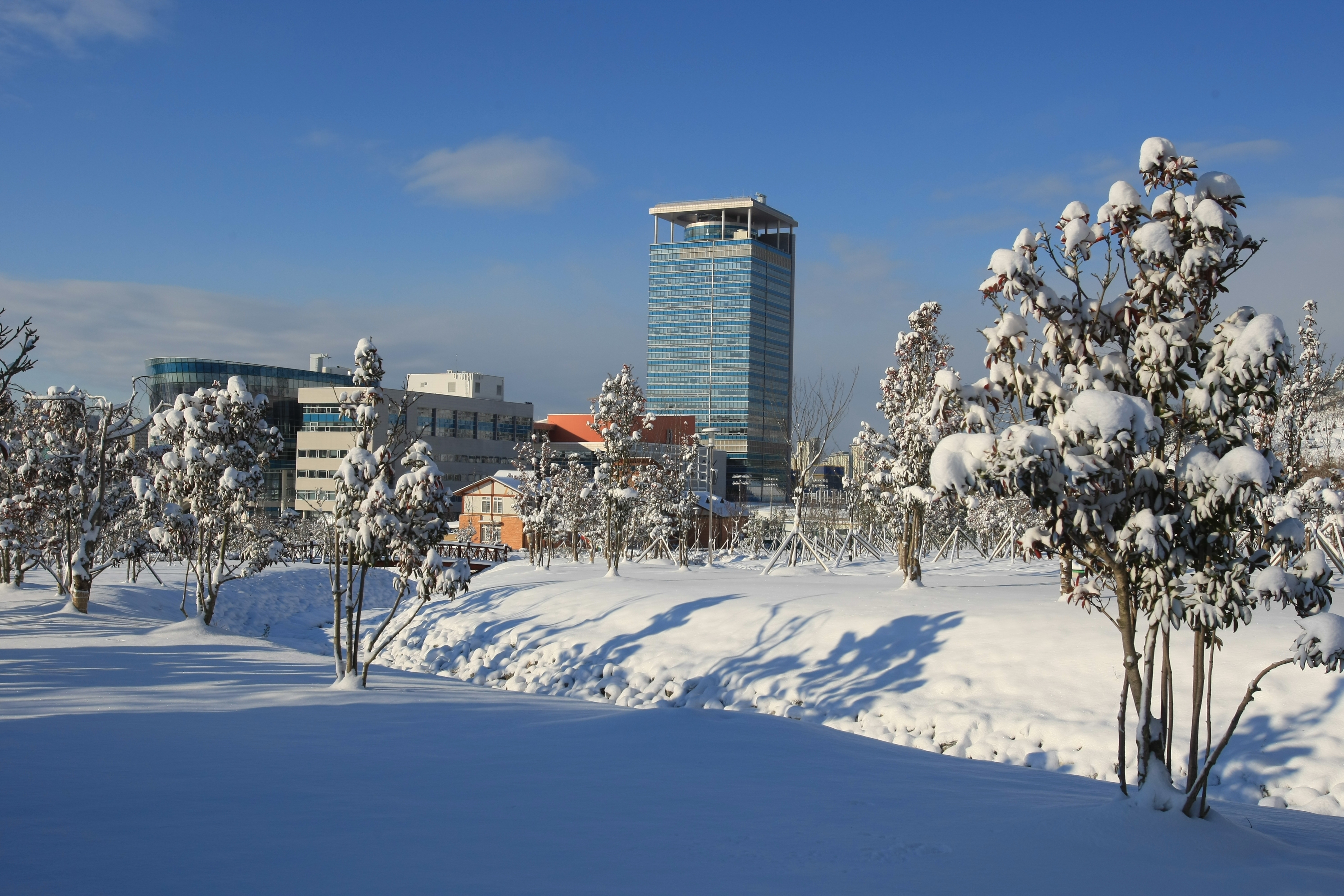 눈덮인 도청사(2008년 12월)1