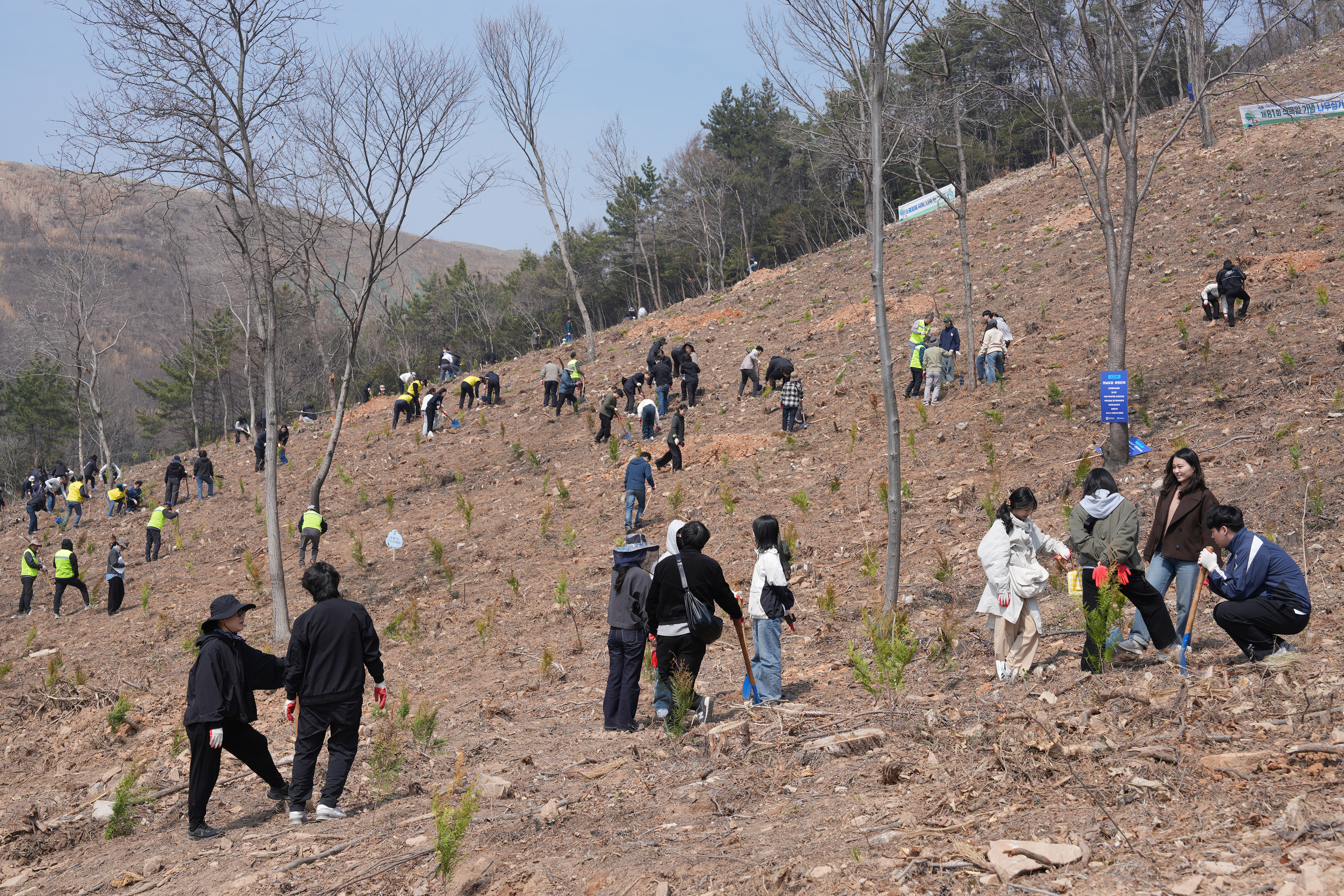 제81회 식목일 기념 나무심기행사3