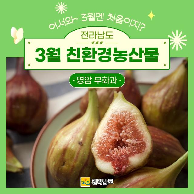 3월 친환경농산물 '영암 무화과'